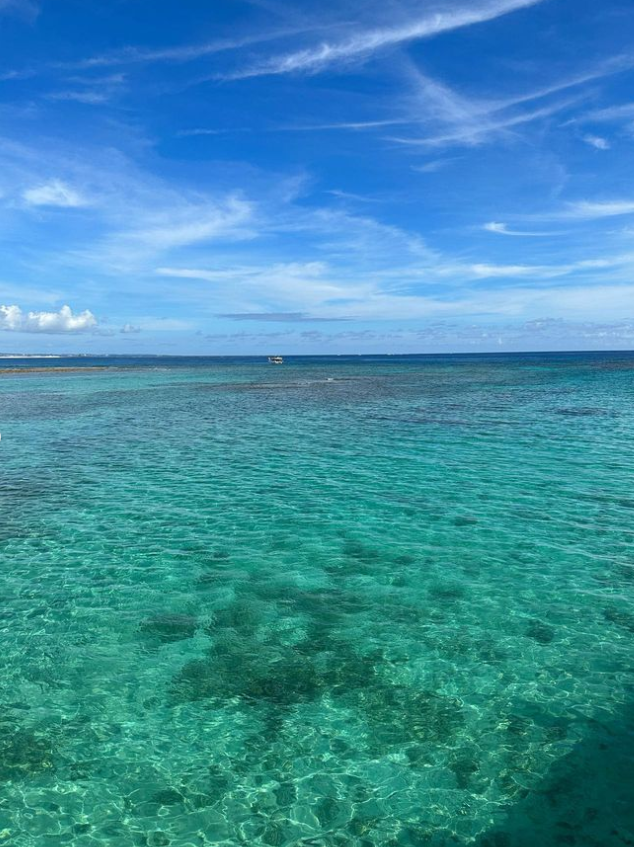 Mary_10280's tweet photo. ๐๐ The blue sea is a beautiful picture of nature, so refreshing that it is as if you can instantly immerse yourself in the serene and expansive world of the ocean.๐
#sea #seaside #coldbeach #snowonthebeach #snowandsea #coldsea #snowybeach #neige #mer #froid #plage #northnature https://t.co/2f8t6mbcQV