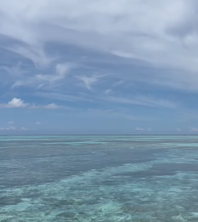 Mary_10280's tweet photo. ๐๐ The blue sea is a beautiful picture of nature, so refreshing that it is as if you can instantly immerse yourself in the serene and expansive world of the ocean.๐
#sea #seaside #coldbeach #snowonthebeach #snowandsea #coldsea #snowybeach #neige #mer #froid #plage #northnature https://t.co/2f8t6mbcQV