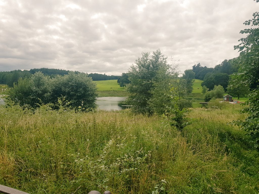 Another great strategy day at our Cumbrian Hub <a href="/EdenhallEstate/">Edenhall Estate</a>. Beautiful surroundings to have a walk and chat...the swans and deer were an added bonus!

The handground coffee is top notch 😉.

#CUMBRIA <a href="/MuckleLLP/">Muckle LLP</a> 
#LawFirmofChoice
