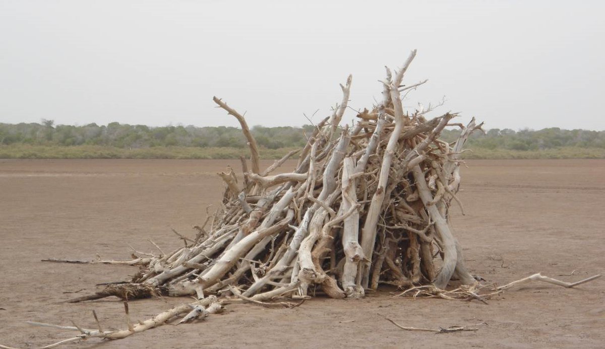 RCMRD_GMES's tweet photo. RCMRD Consortium under @GMESAfrica program is implementing three service areas; https://t.co/tHCG3KX84G
▶️Land Degradation Monitoring and Assessment
▶️Wetlands Monitoring and Assessment
▶️Open Geographical Regional Reference Vector Database for Water and Agro-Ecological Zonings https://t.co/kfOTUFcsVJ