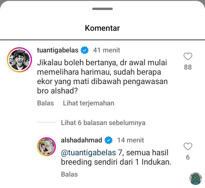 Tanyarlfes tweet media