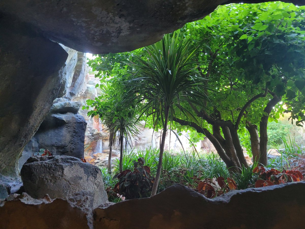 FairyoftheDead's tweet image. Meet me at the cenotes on Batuu.
#swge #acrashoffate