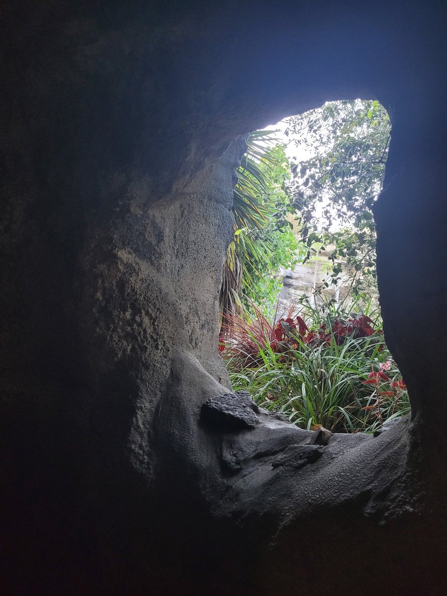 FairyoftheDead's tweet image. Meet me at the cenotes on Batuu.
#swge #acrashoffate