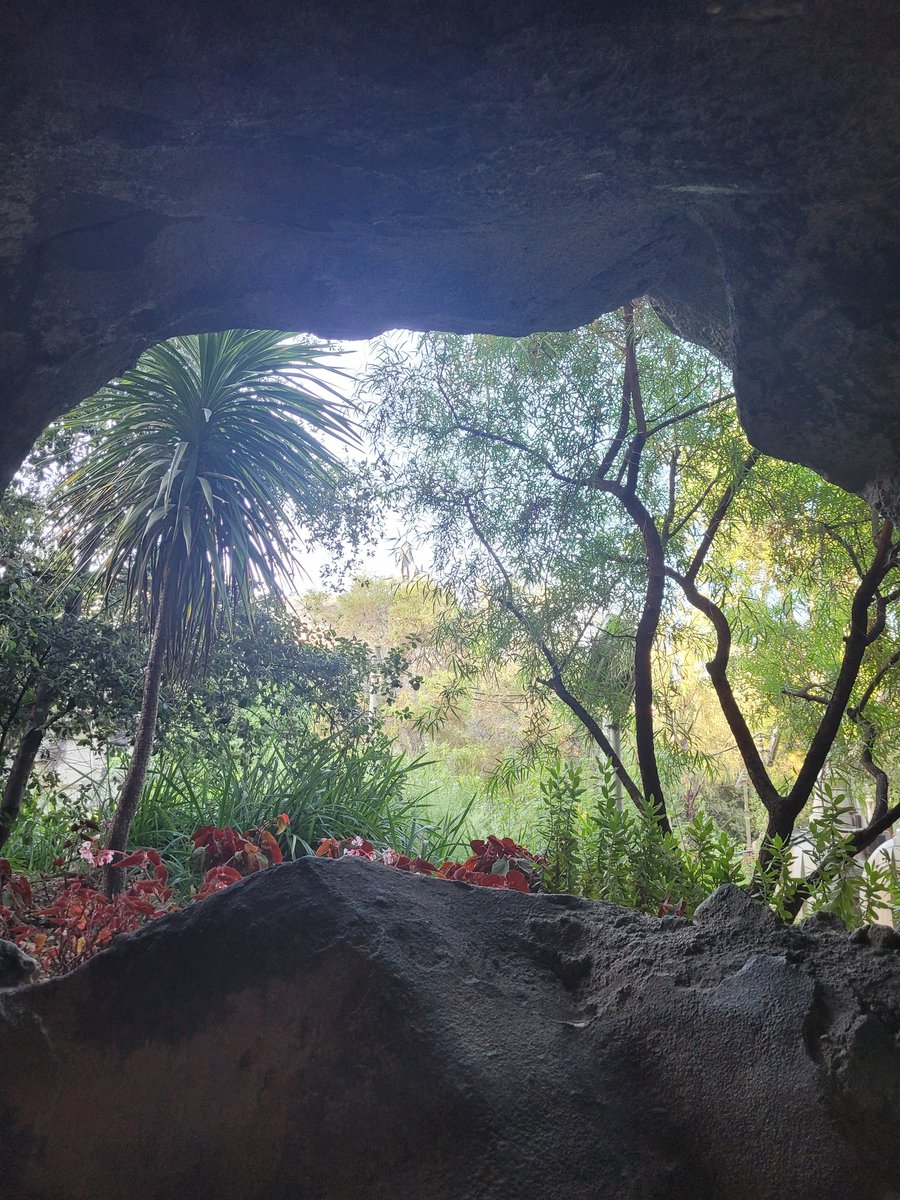 FairyoftheDead's tweet image. Meet me at the cenotes on Batuu.
#swge #acrashoffate