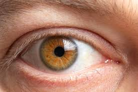 NeelMacro's tweet photo. Facebook and Google earn from your EYES (Views).
Now @worldnetwork plan to earn from your #Retina
I am 100% sure that some one come with a project to scan your #thumb in few #Xalt coin which valuation again Billion of dollars.
#crypto #bitcoin https://t.co/cnDG6k1E0v