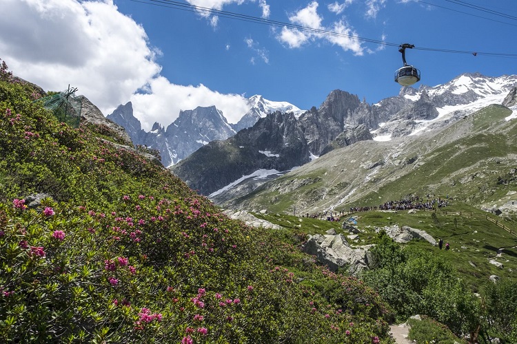 SonoitaliaInfo's tweet photo. #Saussurea ist ein #botanischer #Garten, der seinesgleichen in der alpinen Welt sucht: Er liegt in spektakulärer Lage an der ersten Mont-Blanc-Seilbahn in Courmayeur im #Aostatal. 👉https://t.co/Y9tIRT94yQ @AostaValley @Valle_dAosta @SaussureaGarden @CiaoNico https://t.co/Pfv7V3mypC