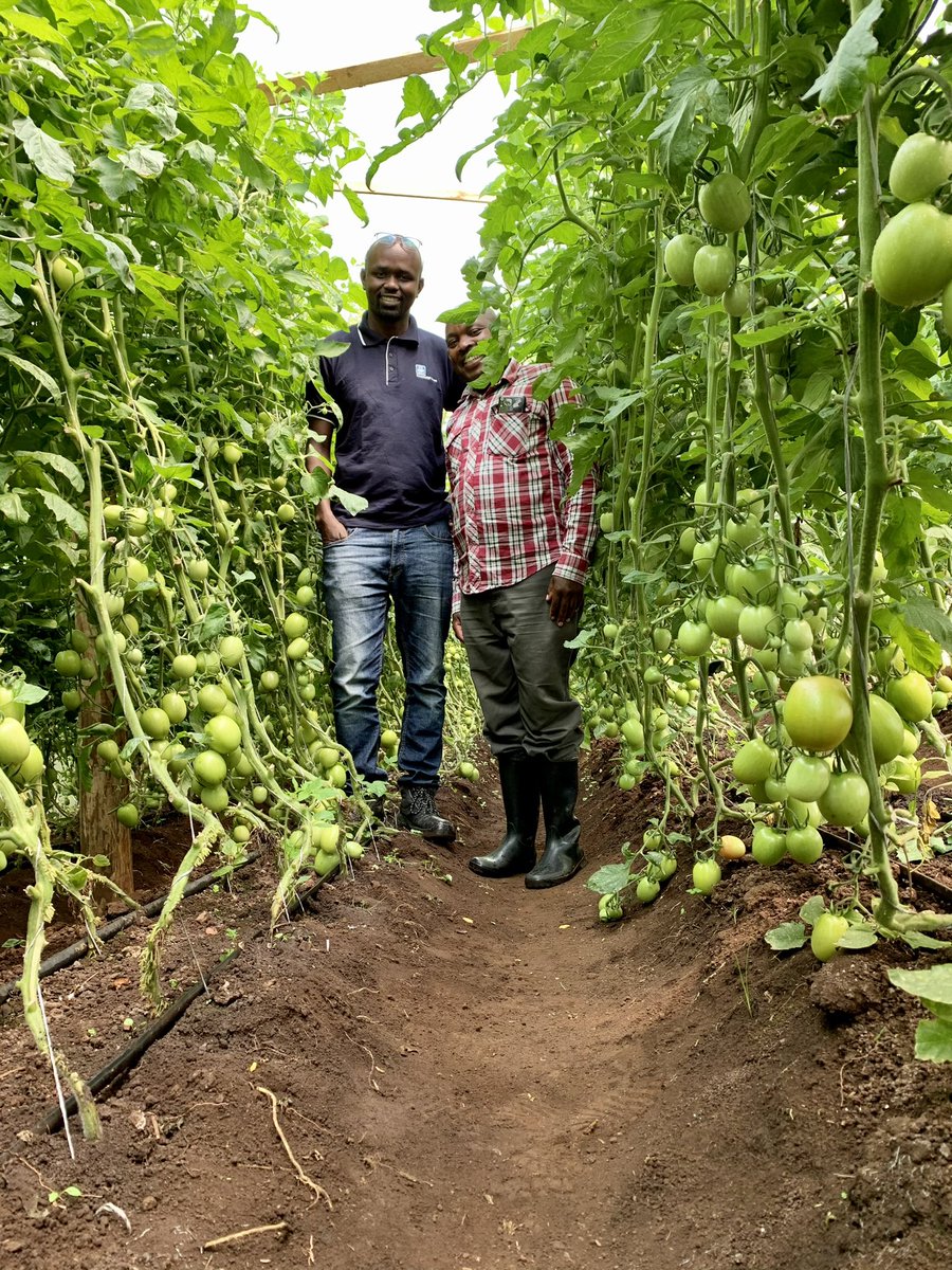 Good morning Wakulima.

Diversification is the need of the hour. 

Horticulture is one of the priority industry of exports and key sector in agriculture diversification from over dependence on other cash crops, it has a potential to be the major source of  foreign exchange earner