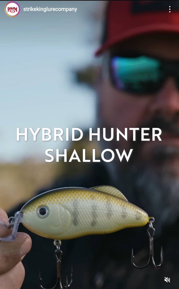 TexasBankFish1's tweet photo. ハイブリットハンターはずっと気になってるんですよね。ただ日本で買うと高い💦
#strikeking
#hybridhunter
#greghackney
#ストライクキング
#ハイブリッドハンター https://t.co/L2w6JaRJmt
