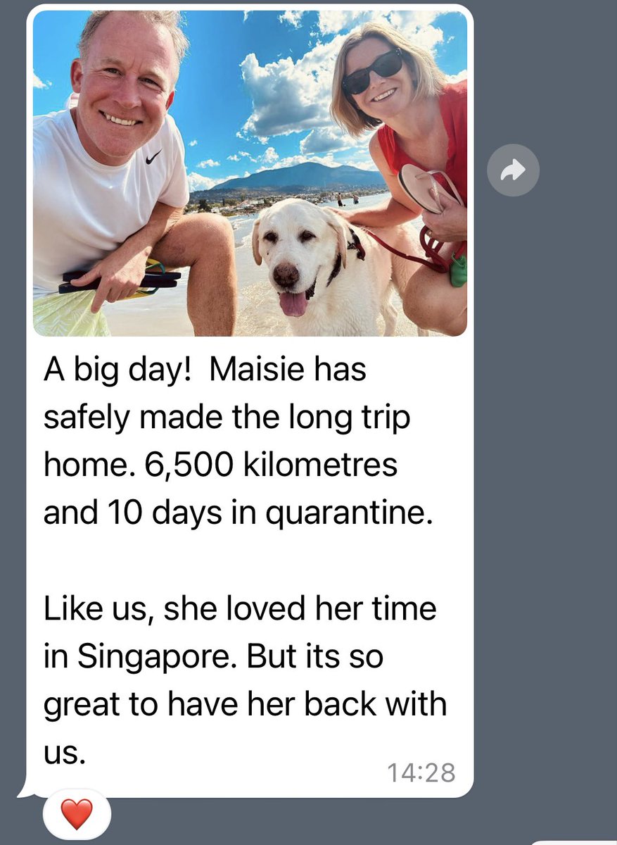 ChristineM_Chan's tweet photo. Heartfelt hugs and condolences to @WillHodgman and family, who sent off their beautiful Maisie to don angel wings... we are heartbroken, your adopted family in #Singapore https://t.co/YCith1SAsJ