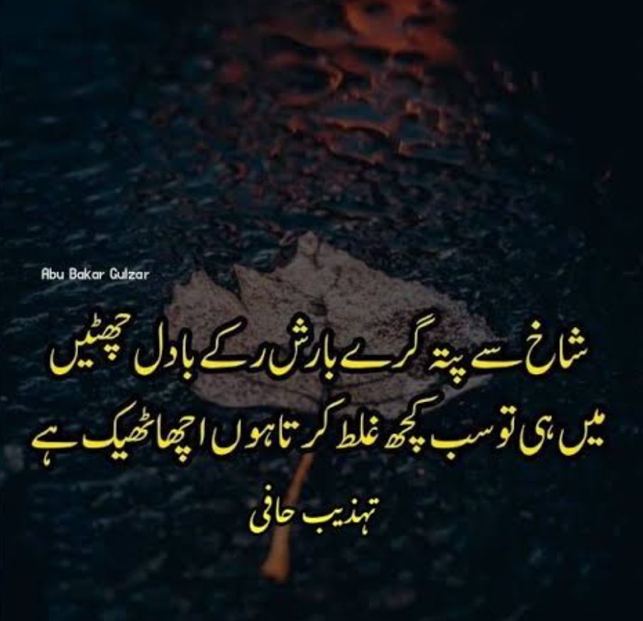 Maryam zafar tweet media
