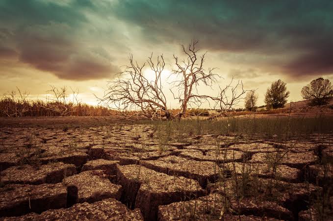 Ondu_Ke's tweet photo. Now is the time to act on #climate .

#COP28 #ClimateActionNow https://t.co/TwYKBd3r6K