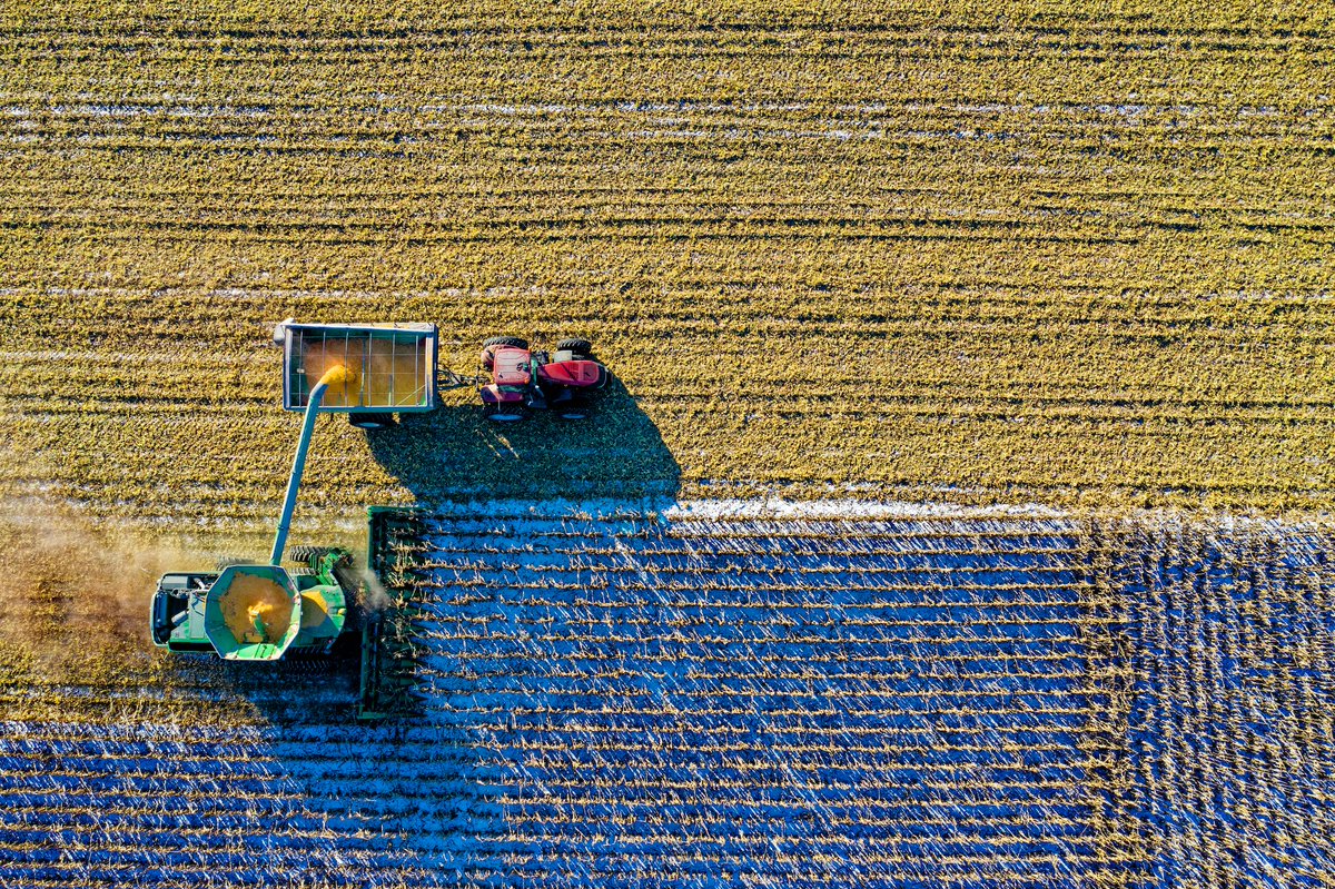 getonspace's tweet photo. Streamline your crop harvesting and record keeping with OnSpace! Capture records like crop mapping, crop growth monitoring, crop diseases monitoring, and crop harvesting. Learn more: https://t.co/ZPyqLybxao and https://t.co/AIOZ3O6ZDA
#OnSpace #Agriculture #CropHarvesting https://t.co/Am001W249T