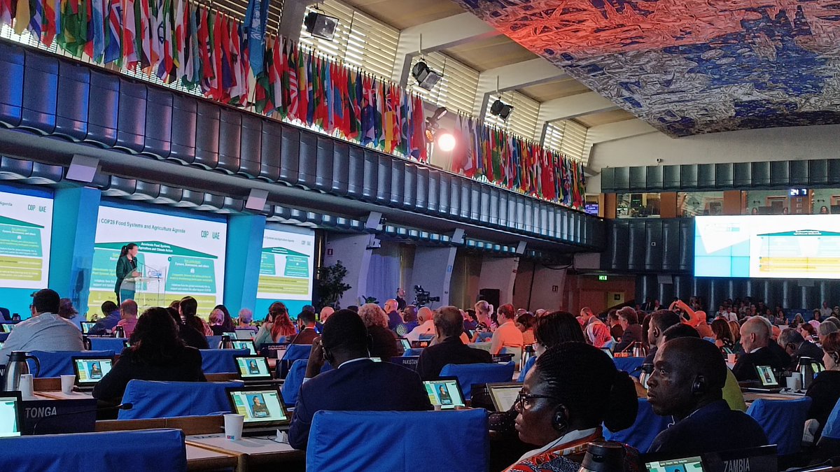 Towards #COP28 
“This is the strongest push ever given to food systems in the COP process… and we must make the most of it”

#GlobalGoals #UNFSS2023 
<a href="/FAOSDGs/">FAO and the SDGs</a>