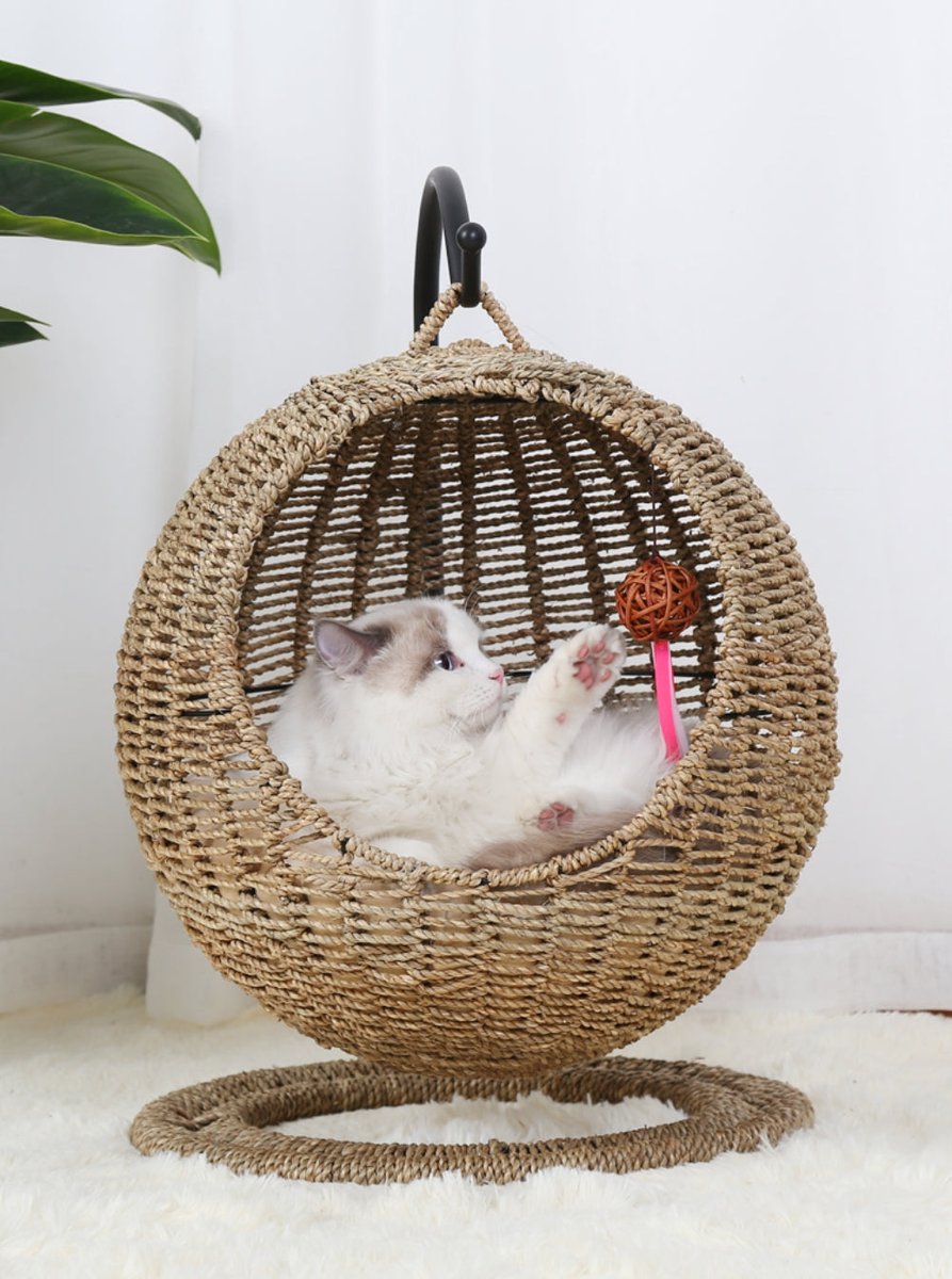 mofucat_media's tweet photo. 🐈mofucat プレゼントキャンペーン🐈

サークル型ラタン風 キャットハウス ナチュラルカラー
をプレゼント！

　 ▼参加条件▼
『@mofucat_media をフォロー&amp;このツイートをRT』

🐾締め切り🐾
　   〜8月25日

当選者様（1名様）には直接DMにて発表いたします🎁

#mofucat
#プレゼント企画 https://t.co/mHKZn70NwX