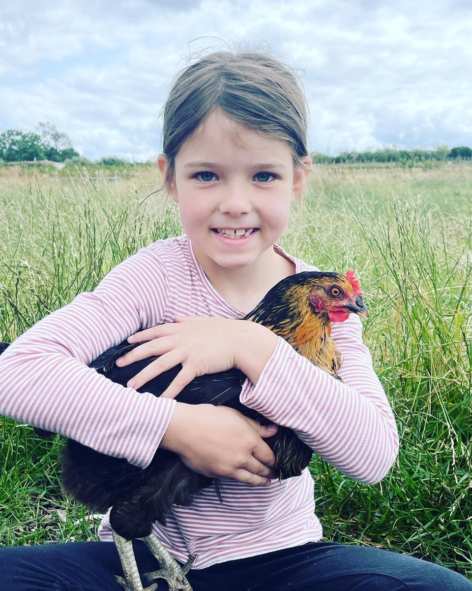 Wilde Farm tweet media