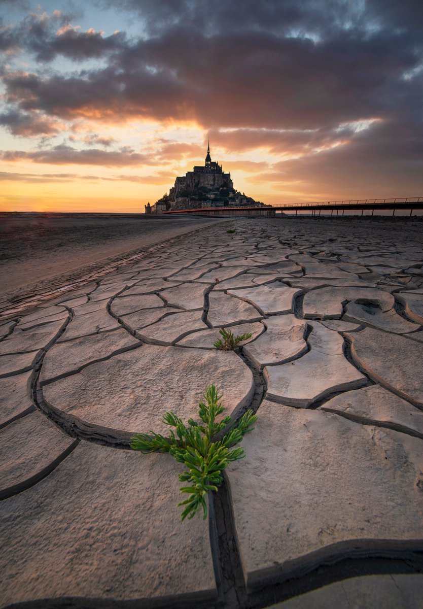 Un magnifique graphisme lorsque la mer se retire au mont saint michel...