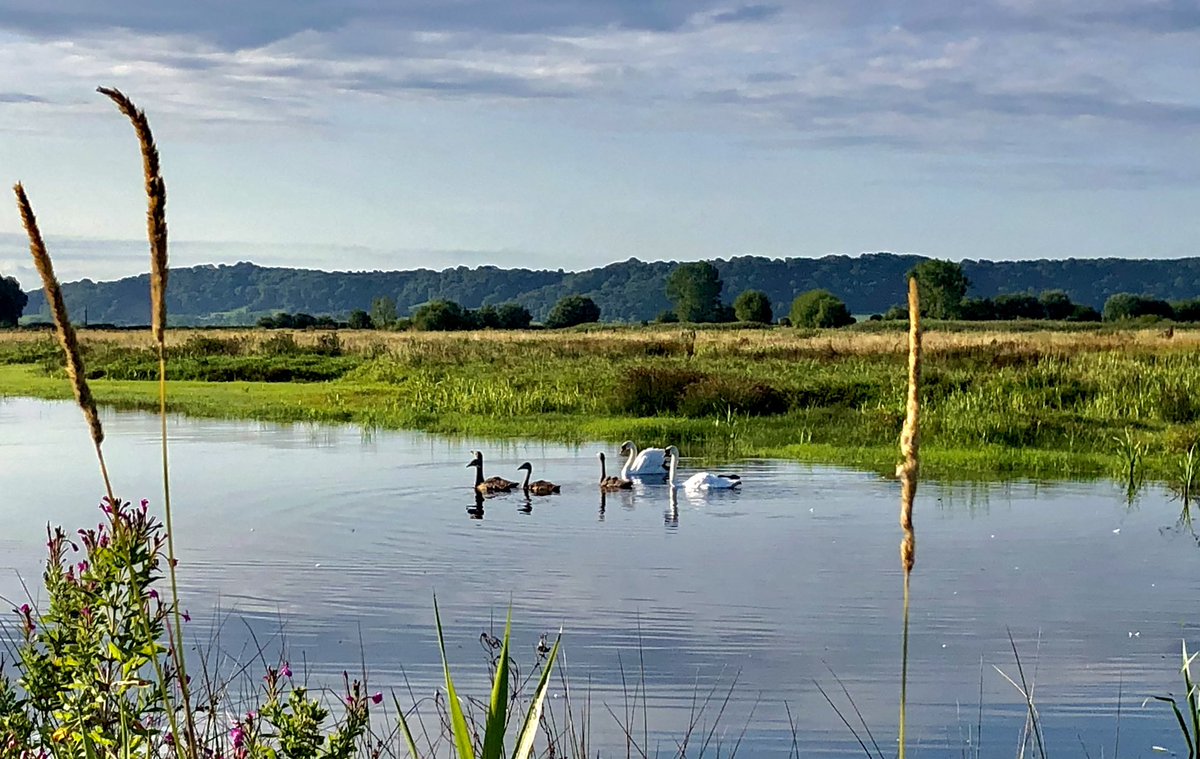 Happy families looking towards High Ham…