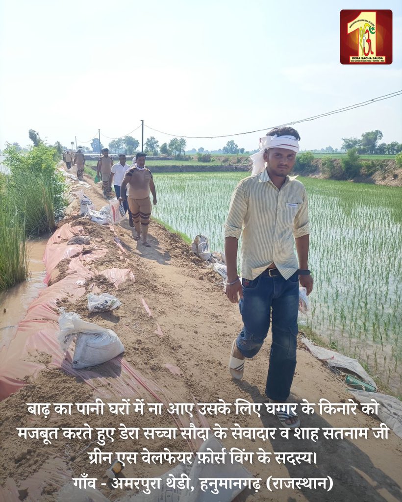 DSSNewsUpdates's tweet photo. In the darkest moments of floods, Dera Sacha Sauda volunteers, following the example of Saint Dr. @Gurmeetramrahim Singh Ji Insan, have been a guiding light for stranded families. Their efforts have brought hope and reassurance in times of uncertainty. #SaintDrMSG #DeraSachaSauda #RamRahim #Humanity