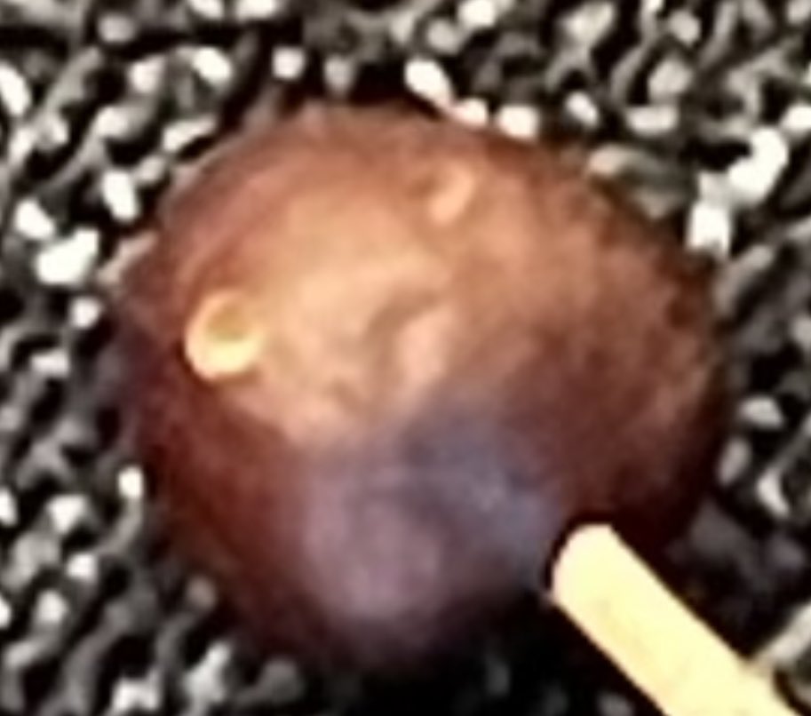 olanderofc's tweet image. Everyone else seemed very calm about this. None had seen the netflix series..