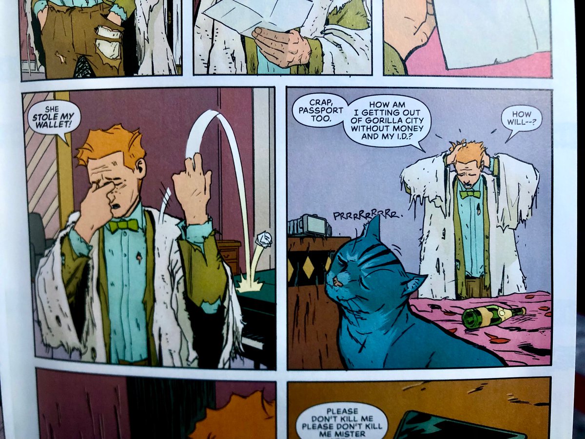 awardtour's tweet photo. CATS IN COMICS: “One Wild Night In Gorilla City” by Matt Fraction & Steve Lieber
(DC 2019, collected in Who Killed Jimmy Olsen? 2020) #catsincomics https://t.co/qwjKi47uyf