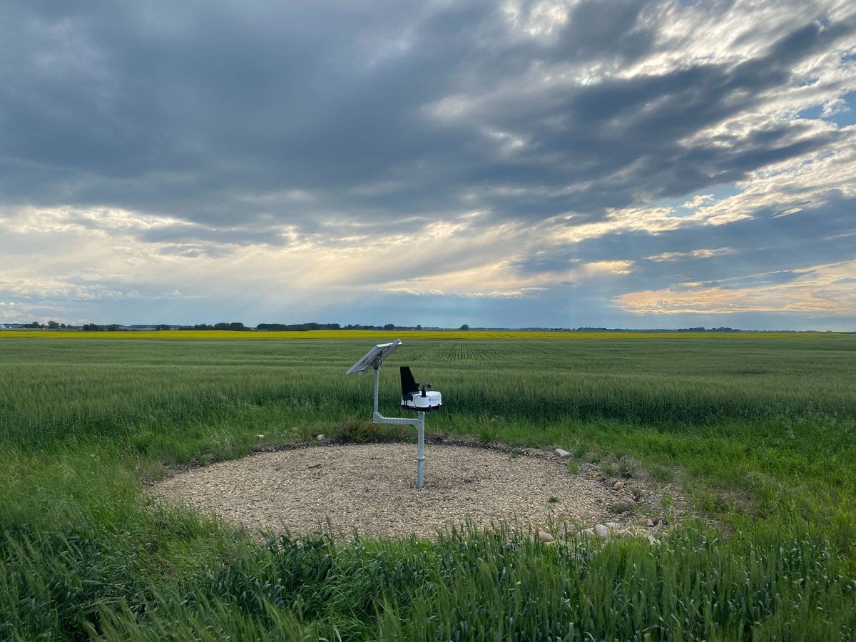 BioScout tweet media