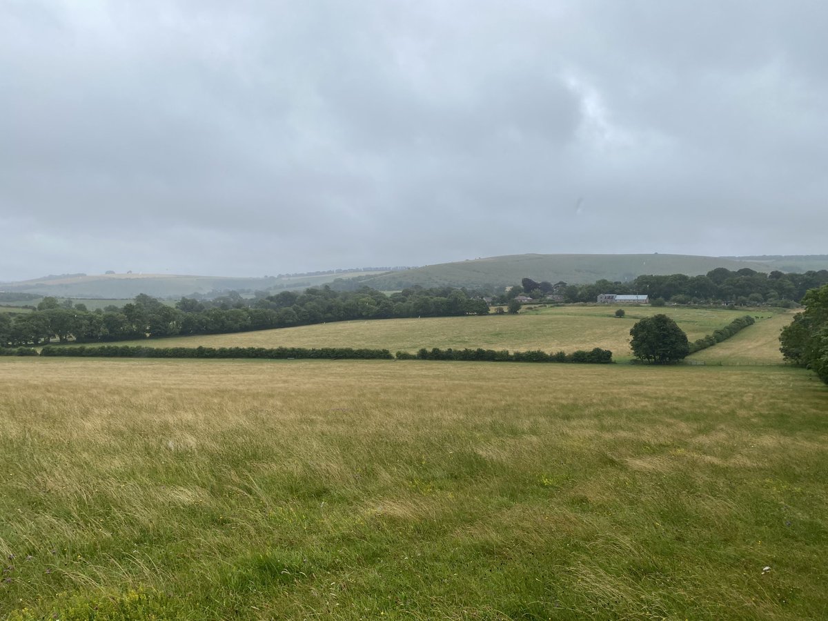 Vicky_liddell's tweet image. Neolithic long barrow, White Sheet Hill near Ansty Wiltshire 4000-3000 BC. - 43m long, 20m wide and 2m high with clearly defined ditch. #TombTuesday #Neolithic #AncientBritain #prehistoric #wiltshire #longbarrows #whitesheethill #barrows