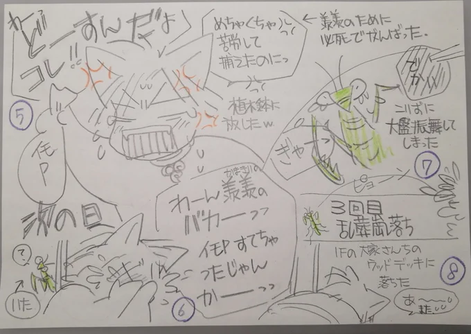蟷螂の羨羨のはなし② 