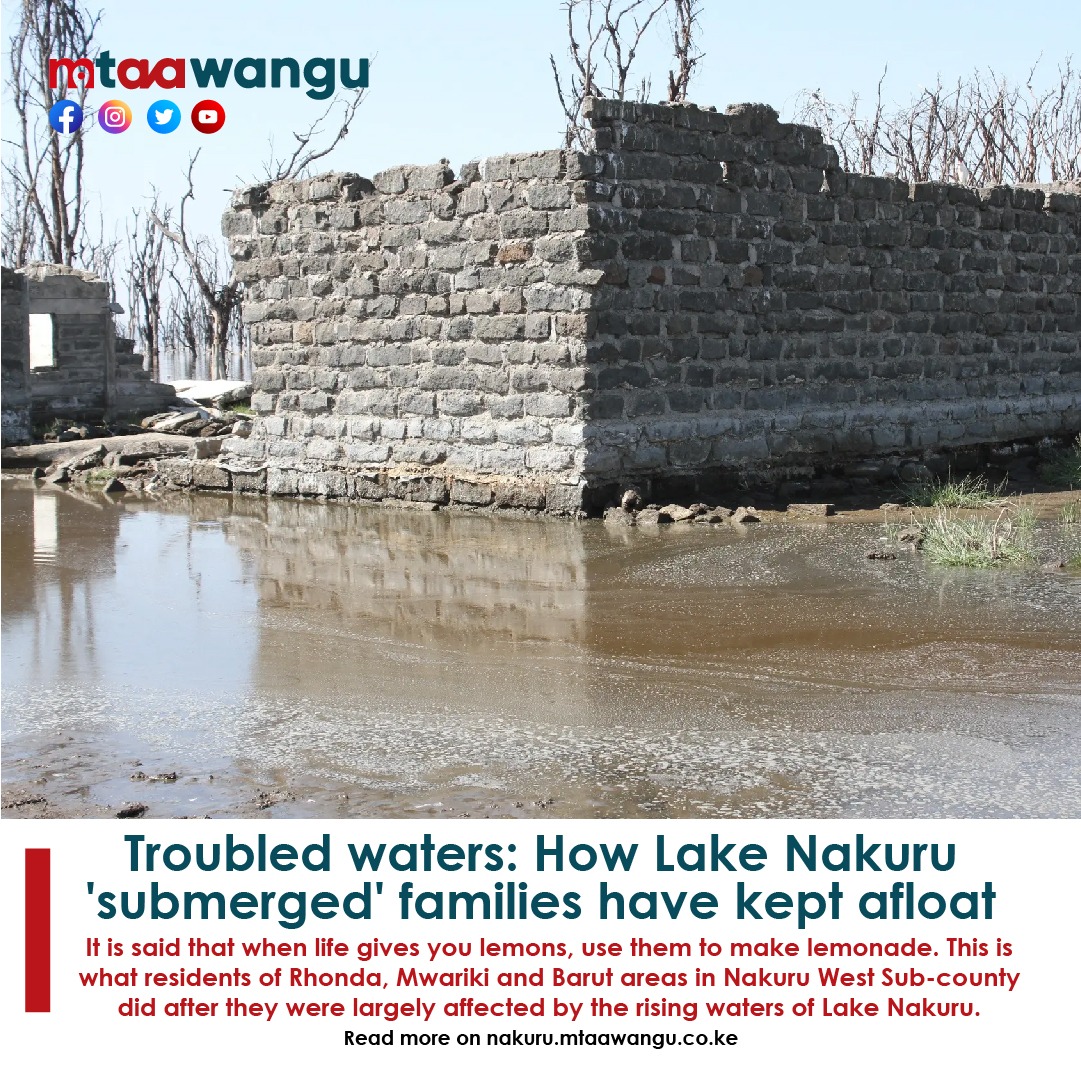 MtaaWangu's tweet photo. Troubled waters: How Lake Nakuru 'submerged' families have kept afloat.
https://t.co/r7kKHQjMYr

#Nakuru #NakuruYetu https://t.co/JE4X9ItyIK