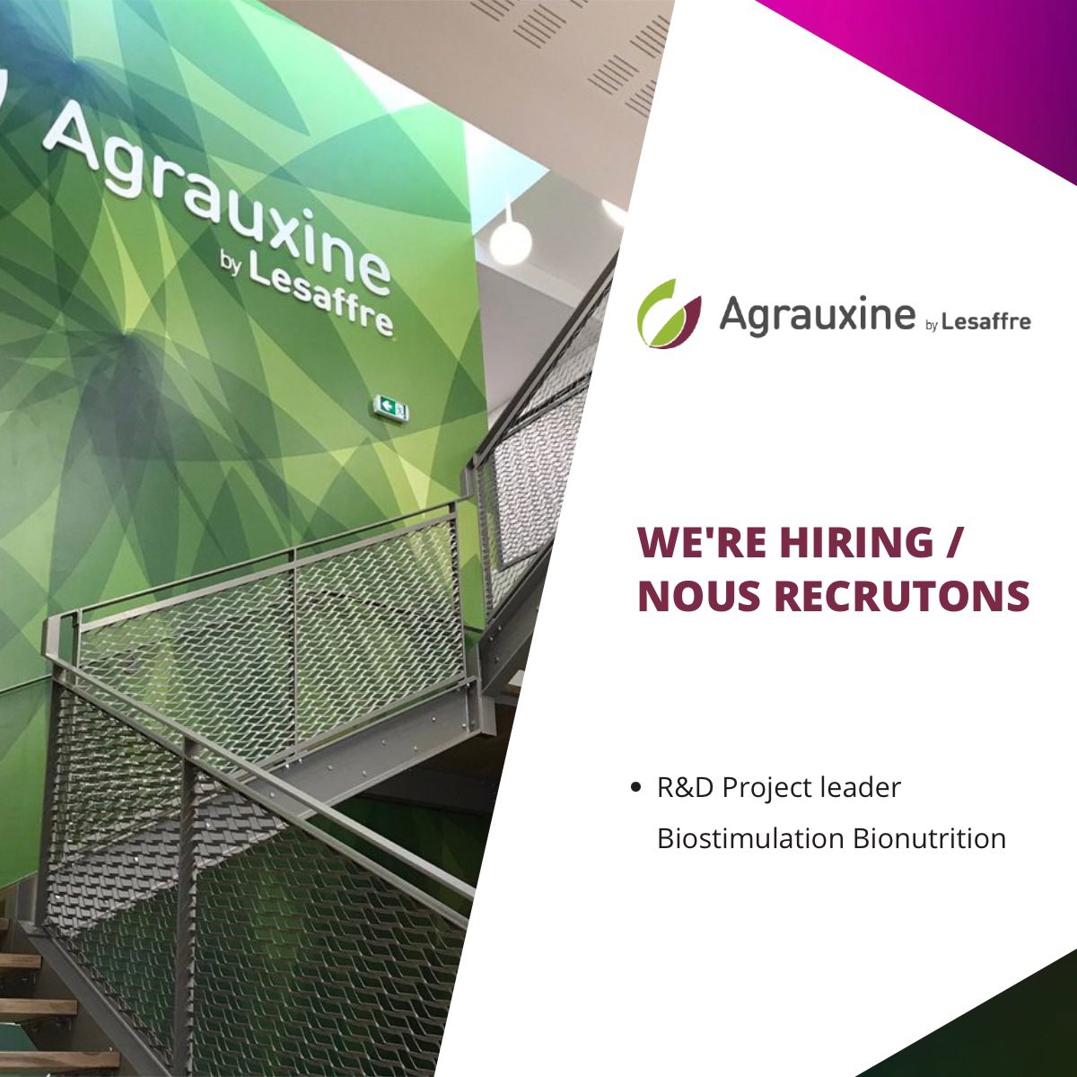 [#JobAlert] Agrauxine by Lesaffre is hiring a new R&amp;D Project leader Biostimulation Bionutrition
 
More info about this position
👉
 jobs.smartrecruiters.com/Lesaffre/74399…

#agrauxinebylesaffre #workingatLesaffre #emploi #recrutement #biosolutions #biostimulants #bionutrition