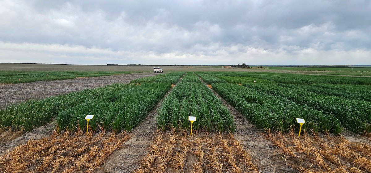 Alexandra Taylor tweet media