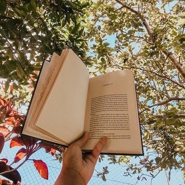 thingsofbooks_'s tweet image. «—¿Por qué querría finales trágicos? No soy tan masoquista. La vida ya es una completa tragedia para algunos como para querer leer algo igual. Se supone que los libros son para evadir la realidad, si quisiera leer algo trágico, leería los sucesos en el periódico.»