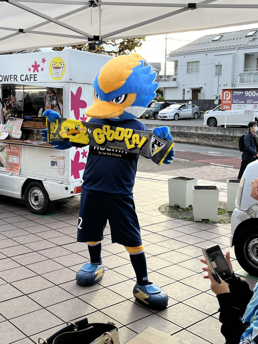 えすじま🐦🐦‍⬛🕊 tweet media