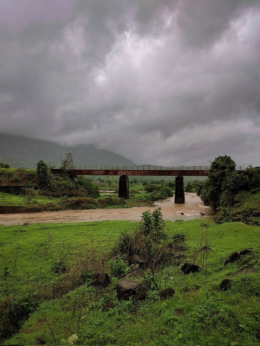 iwanderingsouls's tweet photo. Almost all parts of India have received monsoon rains and the surrounding have turned all green 💚, share the #greenest picture from your gallery 
#Monsoon2023 #greenery https://t.co/Ed1QG94YST