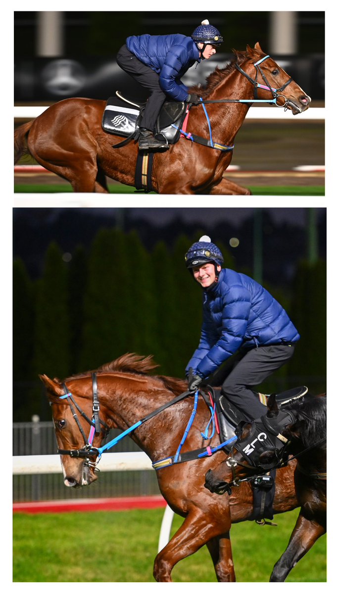 Great to see Ethan Brown back riding in full flight @TheValley gallops this morning.