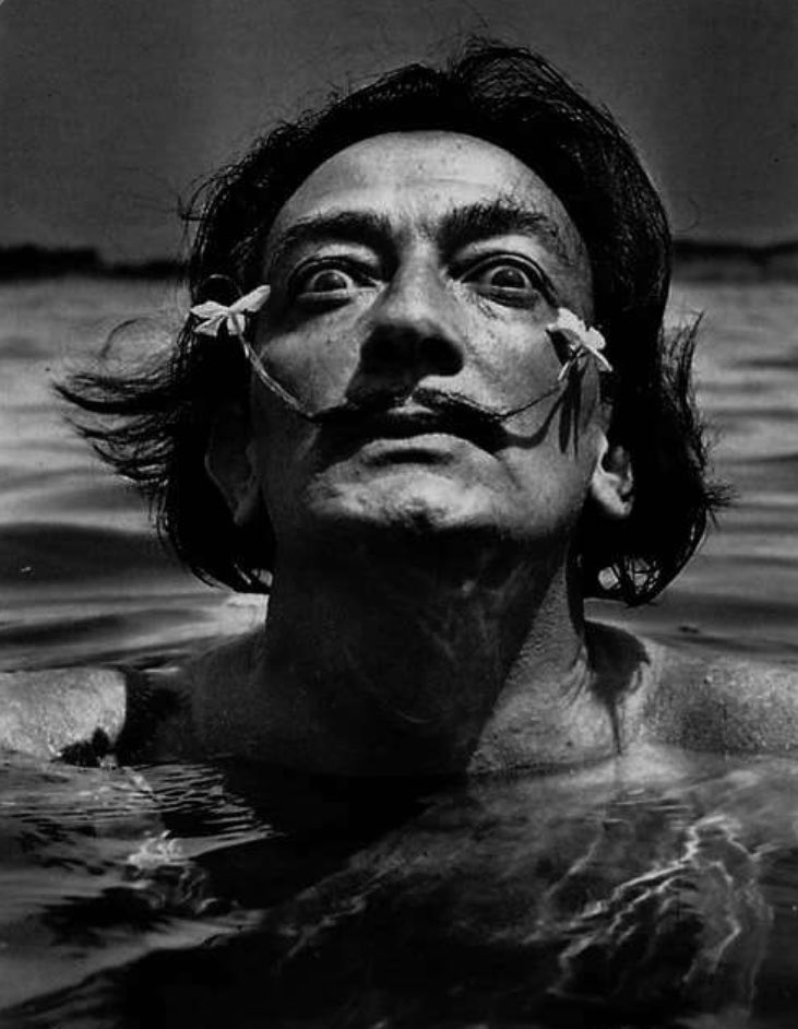 “There is only one difference between a madman and me. The madman thinks he is sane. I know I am mad.”

Salvador Dali