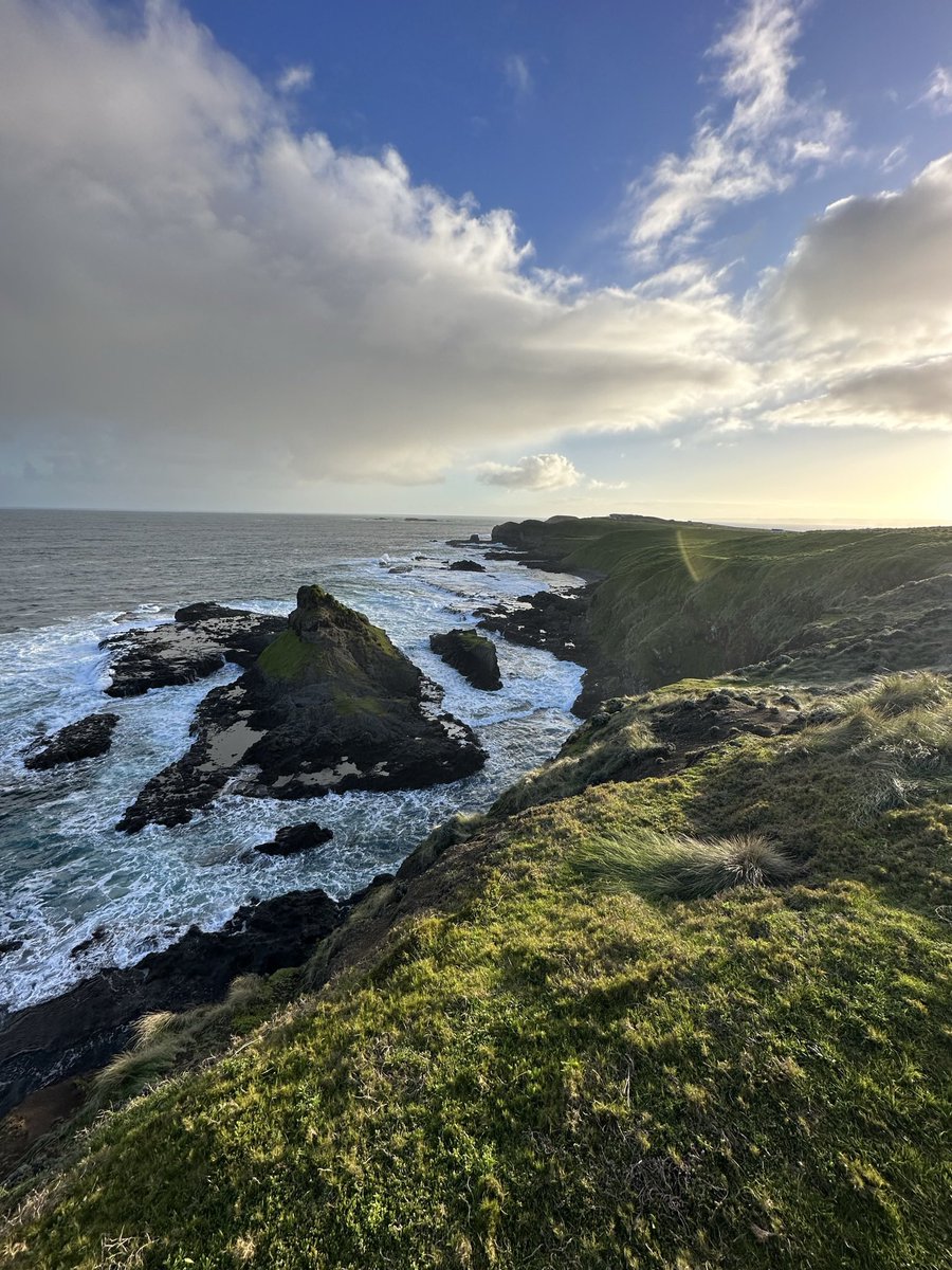 ZetFarYT's tweet image. Plus que 2 jours de vacances et je suis de retour ! (Je publierai bientôt un planning de live) 
L’Australie c’est super beau mais faut pas y aller en hiver il fait trop froid dans une grosse partie du pays 🥶