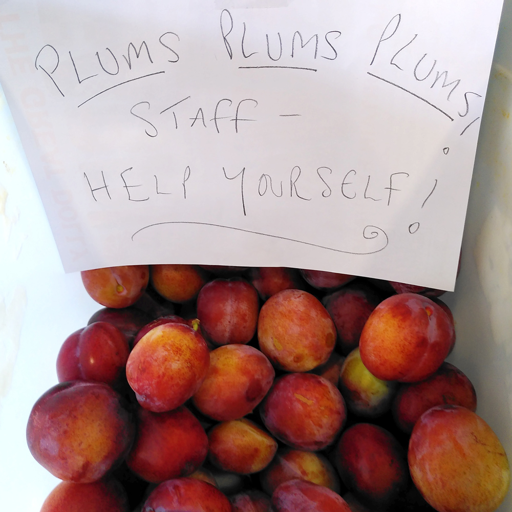 Lewes Depot tweet media