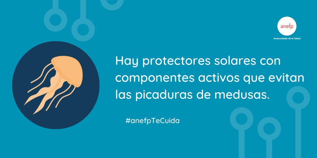 anefp_org's tweet photo. 🪼 ¡Disfruta de un buen chapuzón sin medusas a la vista!
📲 La app #MedusApp ofrece en tiempo real la presencia de medusas en las playas
👇 Además, ten en cuenta este consejo para evitar picaduras #anefpTeCuida https://t.co/eg8rrRa6i7