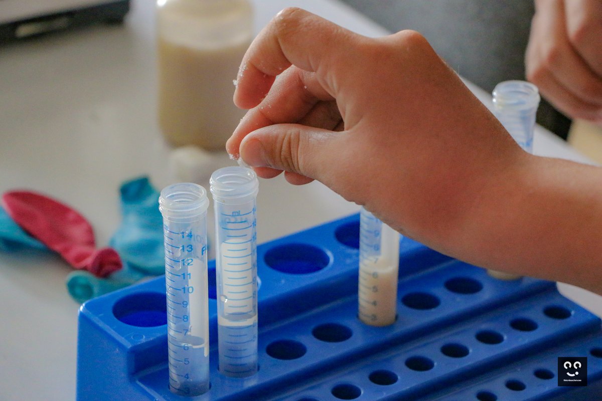 recreasciences's tweet photo. #ANIMATION
Dans le cadre des Quartiers d'Eté, nous nous sommes rendus chez ACTI' Family à La Bastide pour parler... microbes, autour de l'animation "Microbes au quotidien" ! Les enfants ont pu observer au microscope différents fromages à l'odeur remarquable et éveiller leurs sens https://t.co/LeZFUIlZkV