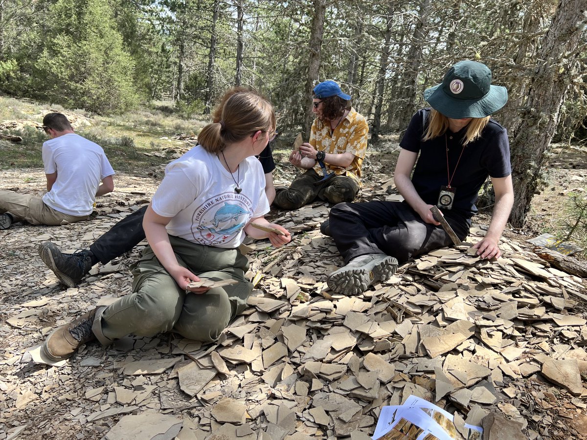 Phil Donoghue (@glpcjd) on Twitter photo Short deadline (Aug 2) fully funded PhD positions open in GW4+ DTP. A chance to join <a href="/BristolPalaeo/">UoB Palaeobiology</a> in 2023 creating your project after you start. Focussed on increasing student diversity but UK candidates only. Get in touch if you are interested nercgw4plus.ac.uk/apply Short deadline (Aug 2) fully funded PhD positions open in GW4+ DTP. A chance to join <a href="/BristolPalaeo/">UoB Palaeobiology</a> in 2023 creating your project after you start. Focussed on increasing student diversity but UK candidates only. Get in touch if you are interested nercgw4plus.ac.uk/apply