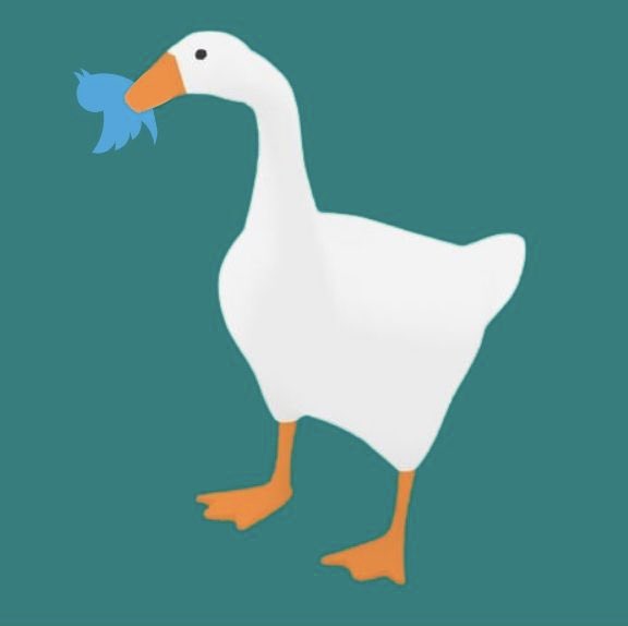 Abi Bechtel (@abianne) on Twitter photo 