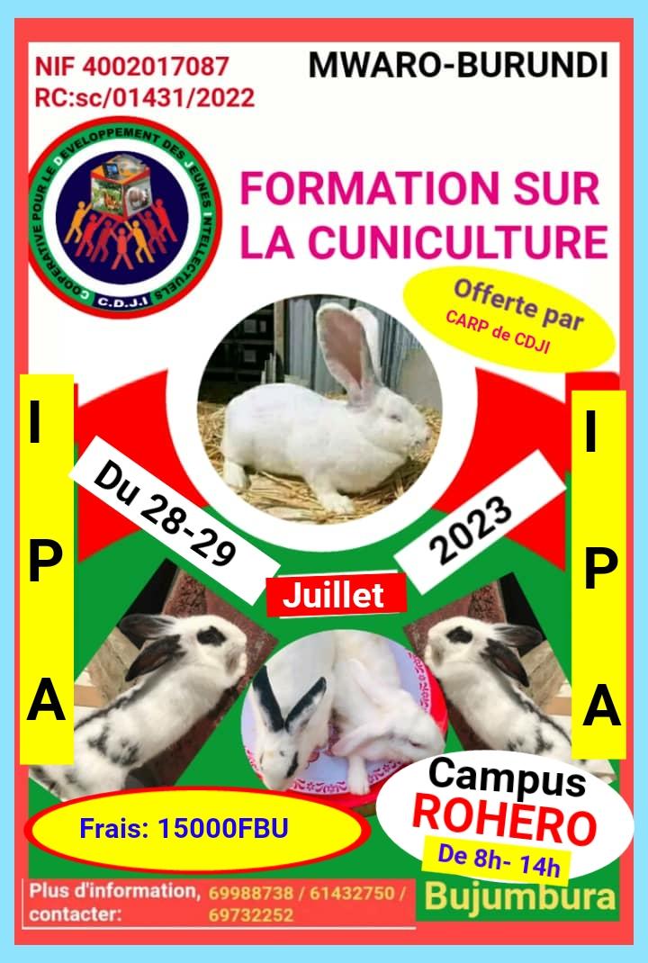 IngoMagazine's tweet photo. 🎯Formation sur la cuniculture
À travers son Centre d'Apprentissage et de Rayonnement des Projets #CARP, la coopérative #CDJI de @MwaroProvince vous organise une autre formation en élevage des lapins, du 28 au 29 juillet 2023, à @MairieBuja.
📌Ne ratez pas cette opportunité !
À part les théories, il y aura également des pratiques pour mieux maîtriser.
Pour plus d'infos, contacter au numéro : 📞69 98 87 38/ 61 43 27 50/ 69 73 22 52
#Burundi
#YouthImpulse
#ingomag