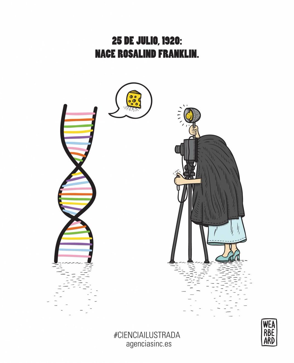 🧬 El 25 de julio de 1920 nació Rosalind Franklin, autora de la imagen que hizo visible el secreto de la vida: la hélice de ADN
shorturl.at/hkK46