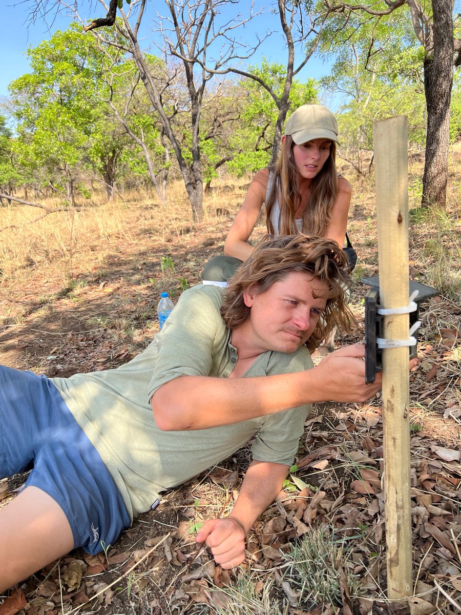 Building resilient monitoring systems with the Ugandan and Kenyan government from the bottom up. For anyone interested how to census wildlife at national scales with the people who live alongside them please join us today in MH1 @ 12:00 PM #ICCB2023 Thanks <a href="/Griffith_Uni/">Griffith University</a> <a href="/NAU/">NAU</a>
