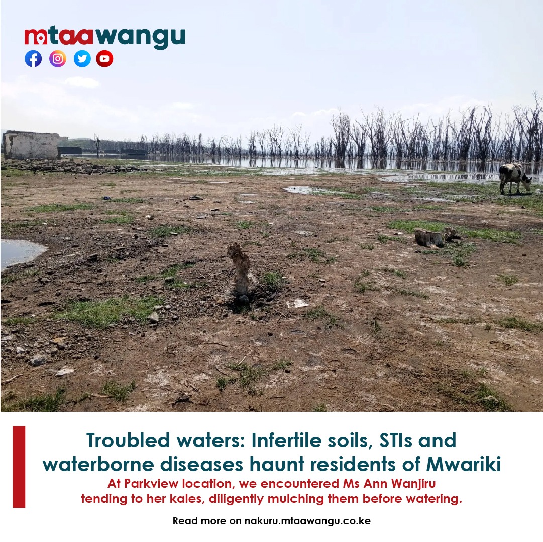 MtaaWangu's tweet photo. Troubled waters: Infertile soils, STIs and waterborne diseases haunt residents of Mwariki.
https://t.co/5pdOSnJ565

#Nakuru #NakuruYetu https://t.co/kQjh4Ls6NJ