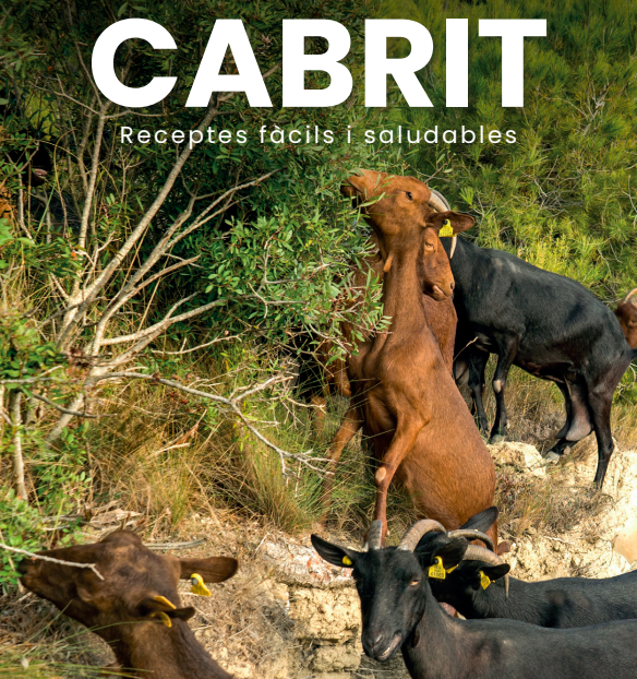 ParcRuralM's tweet photo. Si vols conèixer com cuinar una 🥩 carn poc freqüent i saludable, descarrega't la guia del cabrit. Hi trobaràs receptes fàcils per fer a casa! 😋
👉 https://t.co/iJ7OXKJ9iw
#cabrit #receptari #ParcRuralMontserrat https://t.co/HrY2zTCAAB