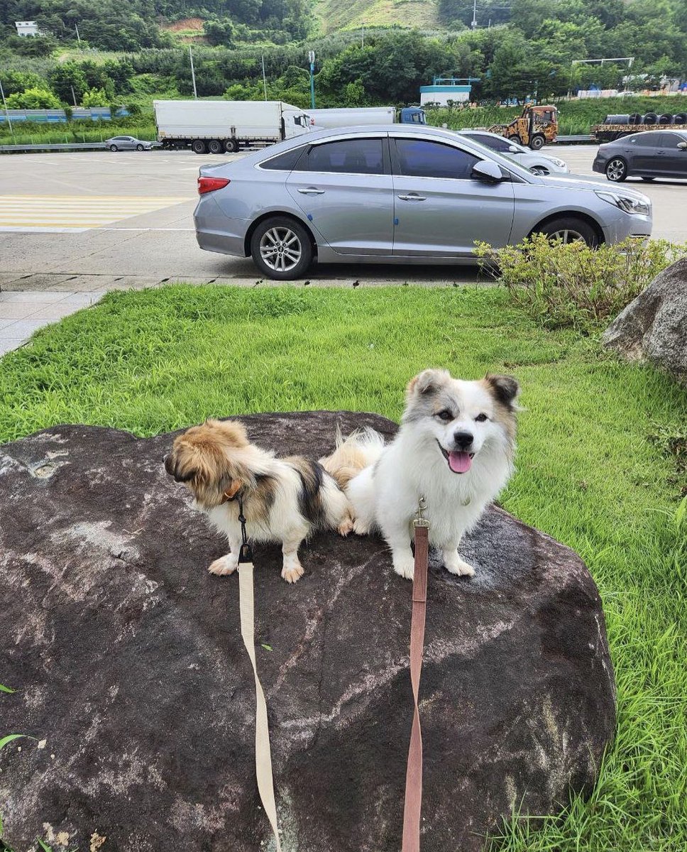 최재림 떡밥정리계 tweet media