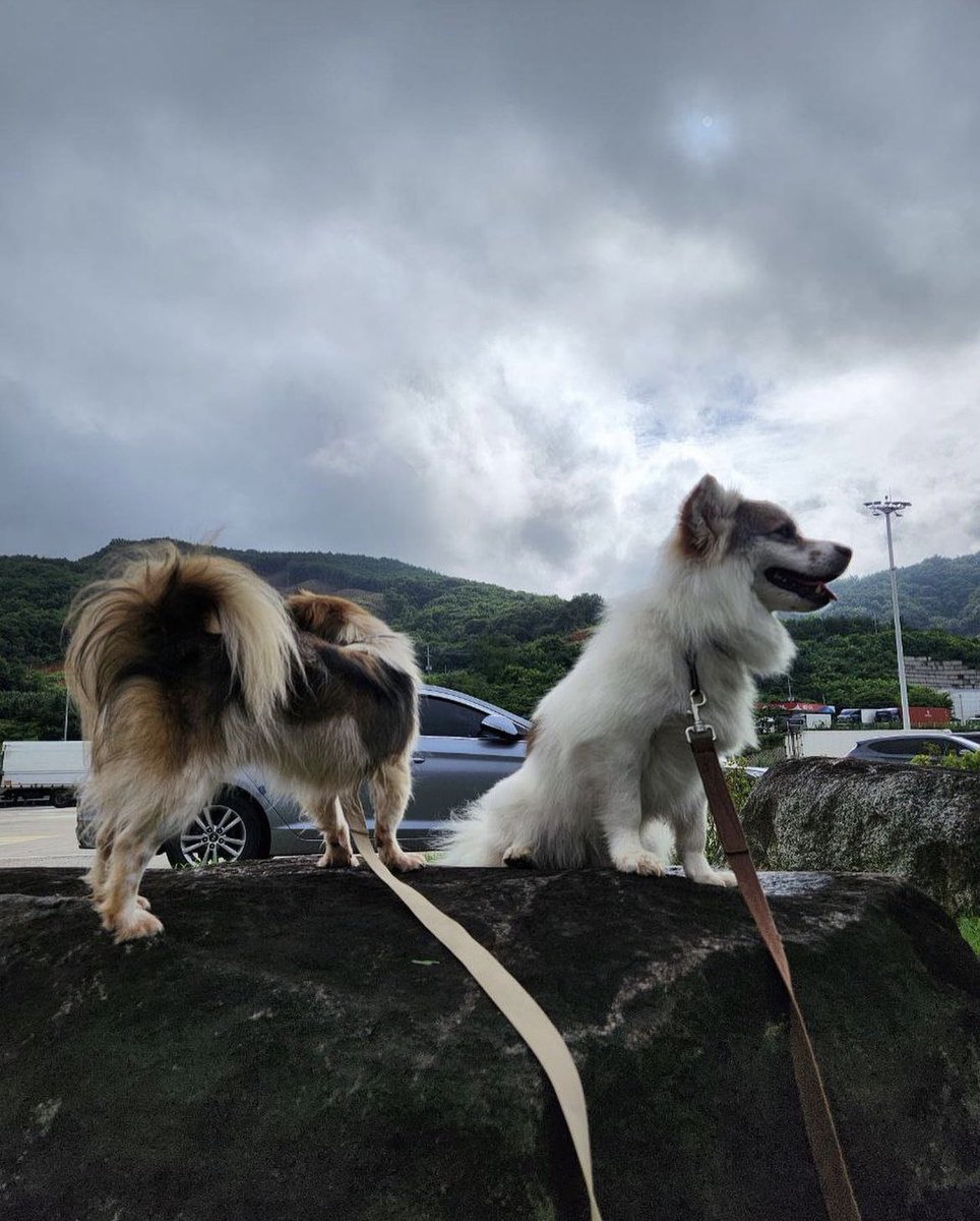 최재림 떡밥정리계 tweet media