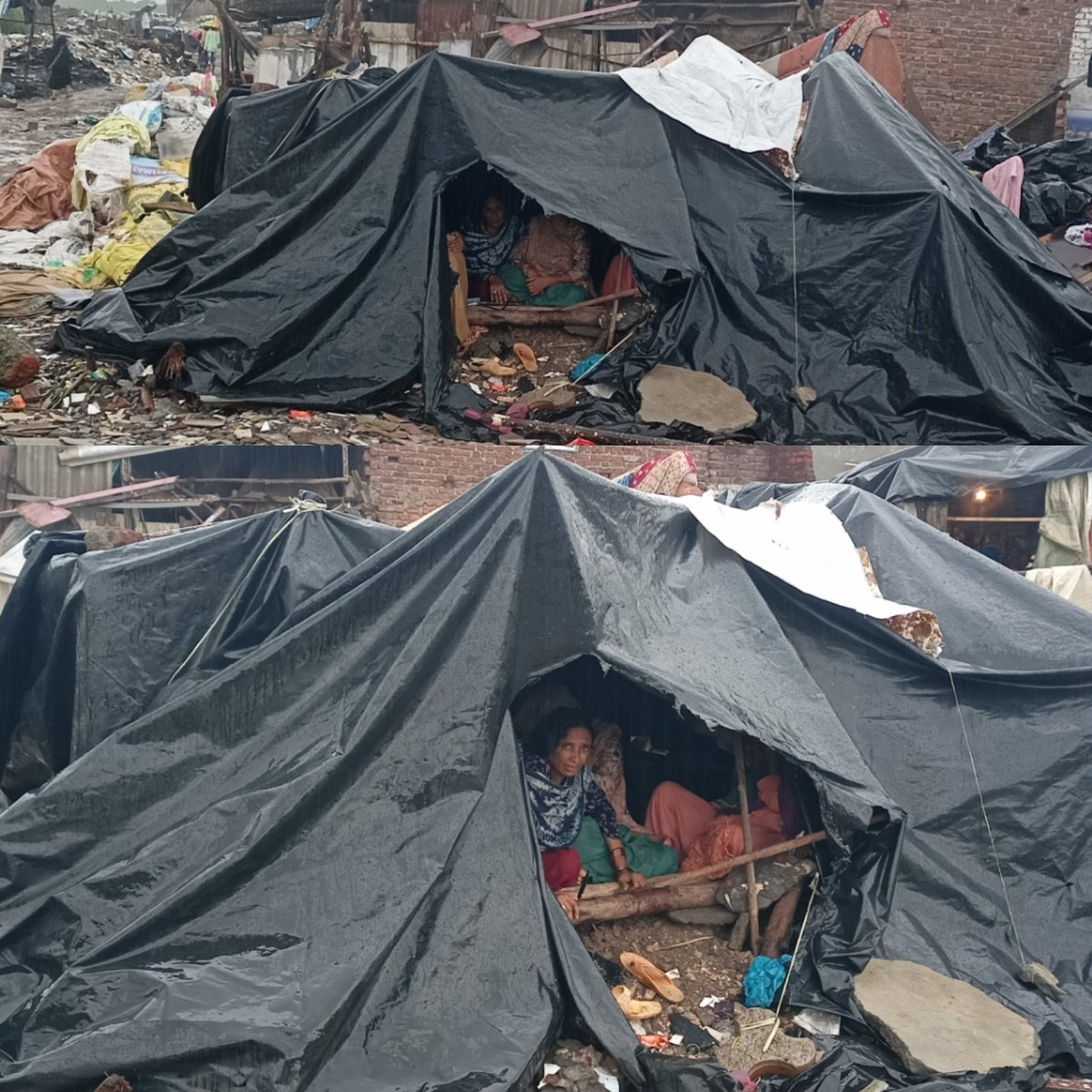 Official_MYP tweet media