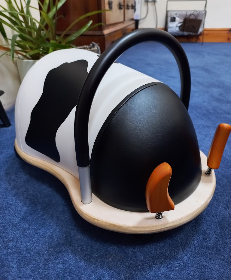yesbebeUK's tweet image. Find out what The Review Studio had to say about our wonderful Wheely Bugs...

📖 ow.ly/CihA50Pjetn
🛒 ow.ly/aL5J50Pjetm

#yebebe #weloveyesbebe #kidsrideon #kidstoys #toys #kids #play #montessori #playtime #children #kidsgifts #learningthroughplay #wheelybug